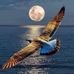 Eliot Sanchez - Facebook