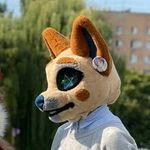 Elis Smith - @elis_cat_portfolio - Instagram