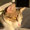 elisa_ - @elisaalonso_ - TikTok