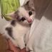 Elisa Arnold - Facebook
