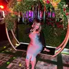Isabel - @elisaavila - TikTok