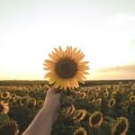 Elisa Badillo - @elisa.badillo.58 - Instagram
