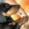 Elisa Bartoli - @elisabartoli5 - TikTok