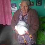 Elisa Bartolo - Facebook