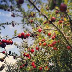 Elisa Baxter - @alumunio - Instagram