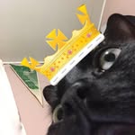 Elisa Berman - @lawlessmom729 - Instagram