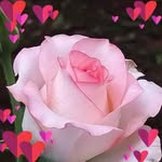 Elisa Berrios - @elisa.berrios.986 - Instagram