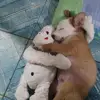 Elisa berrios - @elisaberrios.34910 - TikTok