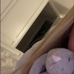 eli - @elisablaker - Instagram