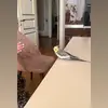 Elisa Booth - @elisabooth87 - TikTok