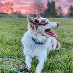 Lisa Boyce - @lboyce2 - Instagram