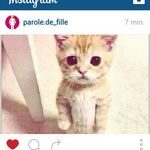 elisa ma best de best # Brady - @gabie_gym_pqt - Instagram