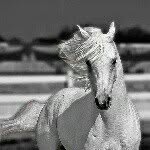 Lisa-marie Brenner Rachen - @lisabrenner12 - Instagram