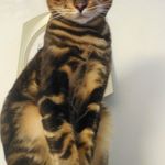 elisa bruce - @elisabruce2 - Instagram