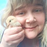 Elisa Busch - @buschis_federvieh_ - Instagram
