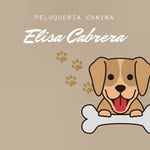 Elisa Cabrera - @peluqueriacanina_elisacabrera - Instagram