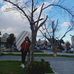 Elisa Cabrera - Facebook