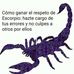 Elisa Cadena - Facebook
