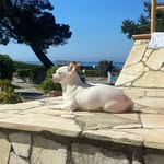 Elisa Capone - @elaiza.capone - Instagram
