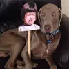 Lisa Capone - @myboymerlin - TikTok