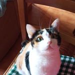 Elisa Carbone - @carbone4056 - Instagram
