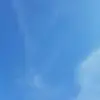 Elisa Celis - @elisa.celis8 - TikTok