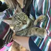 Esa - @elisa.mccloud - TikTok