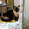 elisacobbs330 - @elisacobbs330 - TikTok