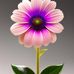 Elisa Corzo - Facebook
