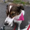 Lisa - @elisabethcramer - TikTok