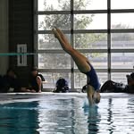 Elise Cross - @elisecrossdives2027 - Instagram