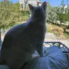 Elisa Day - @elisa.day4 - TikTok