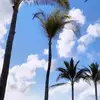 Elisa Devita - @elisadevita6 - TikTok