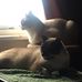 Elisa Downs - Facebook