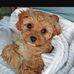 Elisa Duffie - Facebook