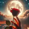 elisa pham - @elisadunn2004 - TikTok