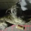 Elisa Ely - @elisaely284 - TikTok