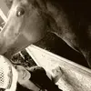 Elisaely - @elisaely15 - TikTok