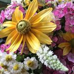 👩‍🌾 Elisa | Flower Farmer | Des Moines & Ankeny Iowa - @saylorcreekflowerfarm - Instagram