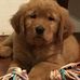 Elisabeth Farmer - Facebook