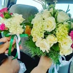 печатает.... - @elisafleming2000 - Instagram
