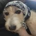 Elisa Ford - Facebook