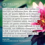 Elisa Ford - @elisaford25 - Instagram