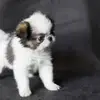 Lisa Gallagher - @lisa.gallagher0 - TikTok