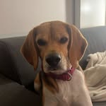 Elisa - @elisa_geens - Instagram