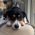 Elisa Kimmel Gordon - @eskg18 - Instagram