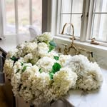 Elisa Hanson - @foxfarmdesign - Instagram