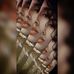 Elisa Harmon - Facebook