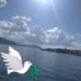 Elisa Head - Facebook