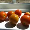 e - @elisahebert5 - TikTok
